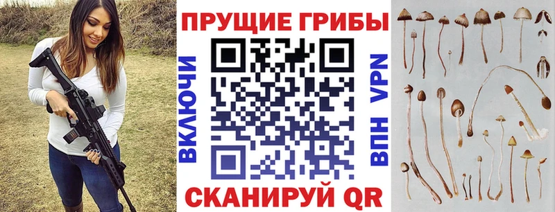 где купить   Батайск  Галлюциногенные грибы ЛСД 